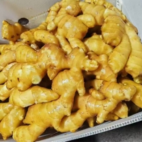 Fresh ginger